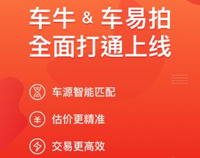 大搜車(chē)車(chē)牛與車(chē)易拍全面打通 雙平臺(tái)融合如何推動(dòng)二手車(chē)市場(chǎng)邁向高效時(shí)代與新能源汽車(chē)銷(xiāo)售的新格局